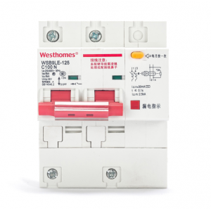 MCB (Earth Leakage) WSB9LE-125